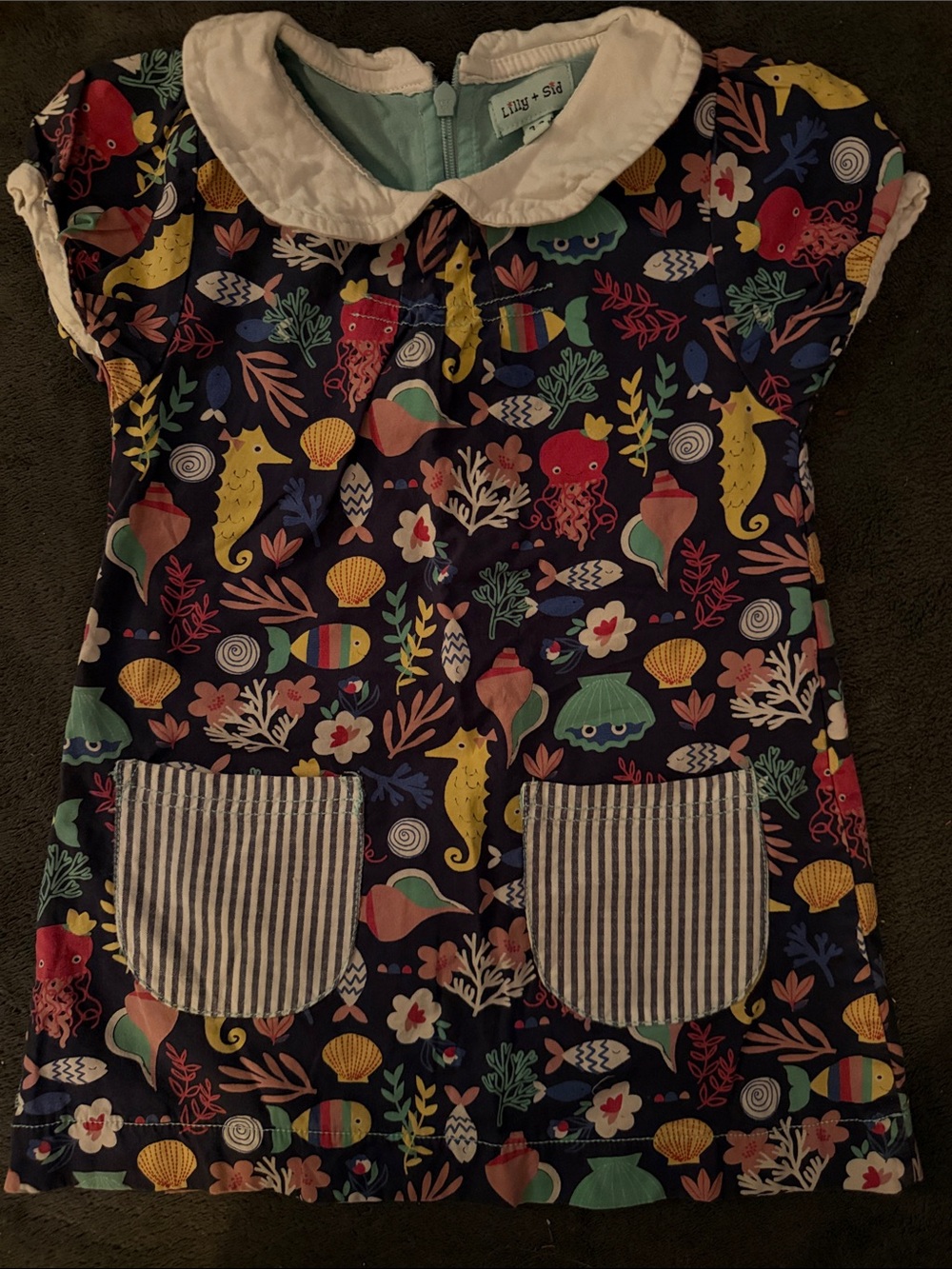 Lilly & Sid Marine Print Dress with White Collar - 2-3Y